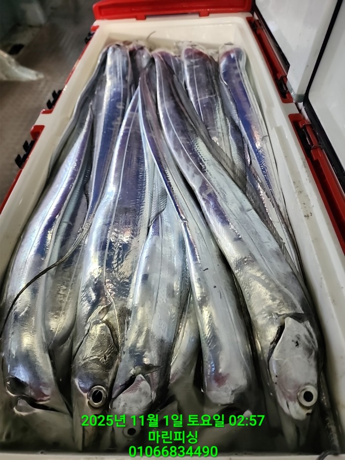 e264b1bee7664a93722fe29646fa96a9_1761956356_8584.jpg e264b1bee7664a93722fe29646fa96a9_1761956356_8584.jpg