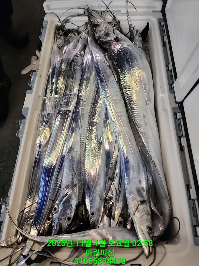 e264b1bee7664a93722fe29646fa96a9_1761956359_6056.jpg e264b1bee7664a93722fe29646fa96a9_1761956359_6056.jpg