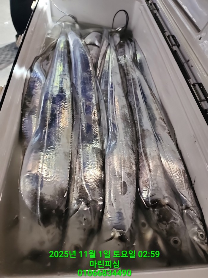 e264b1bee7664a93722fe29646fa96a9_1761956360_8602.jpg e264b1bee7664a93722fe29646fa96a9_1761956360_8602.jpg