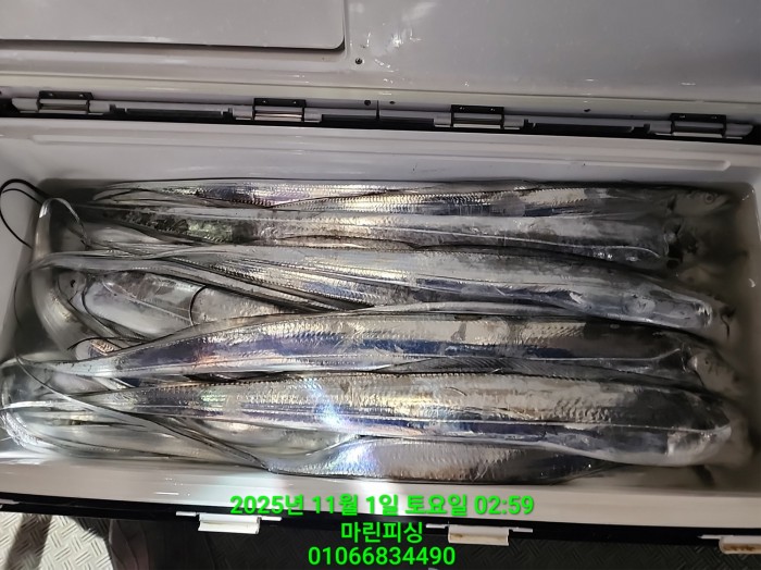 e264b1bee7664a93722fe29646fa96a9_1761956362_1034.jpg e264b1bee7664a93722fe29646fa96a9_1761956362_1034.jpg