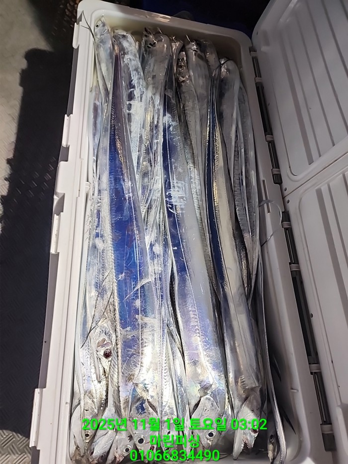 e264b1bee7664a93722fe29646fa96a9_1761956363_4433.jpg e264b1bee7664a93722fe29646fa96a9_1761956363_4433.jpg