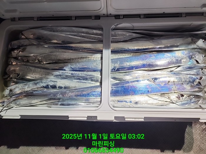 e264b1bee7664a93722fe29646fa96a9_1761956364_8942.jpg e264b1bee7664a93722fe29646fa96a9_1761956364_8942.jpg