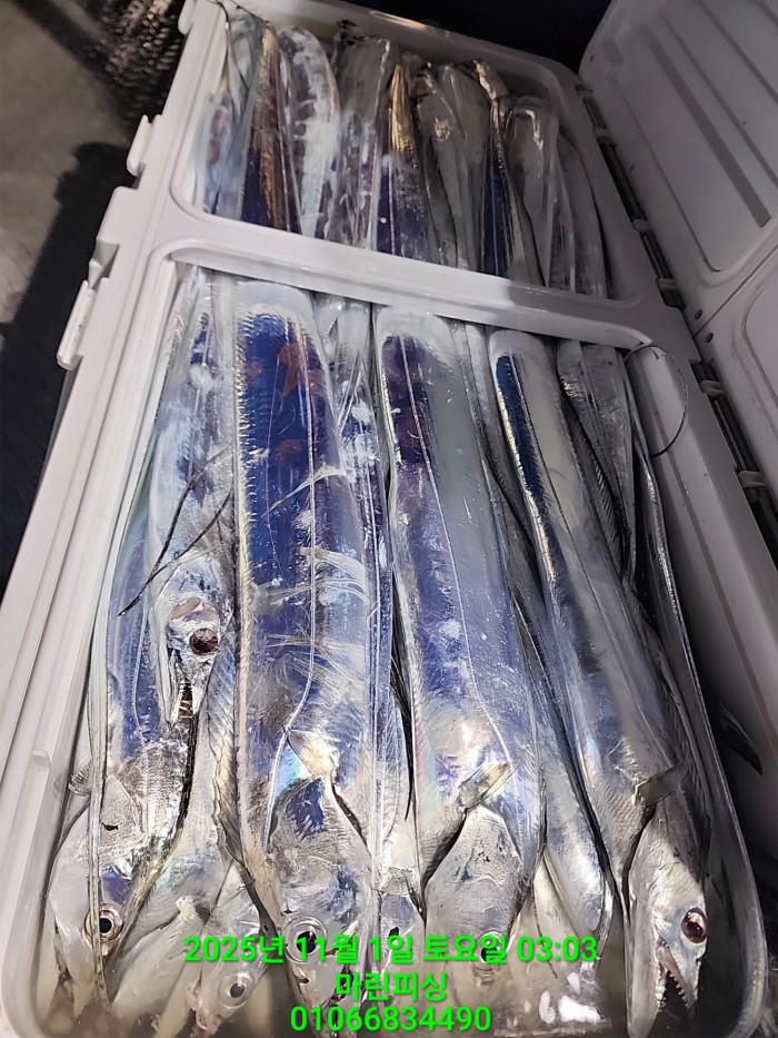 e264b1bee7664a93722fe29646fa96a9_1761956366_3981.jpg e264b1bee7664a93722fe29646fa96a9_1761956366_3981.jpg