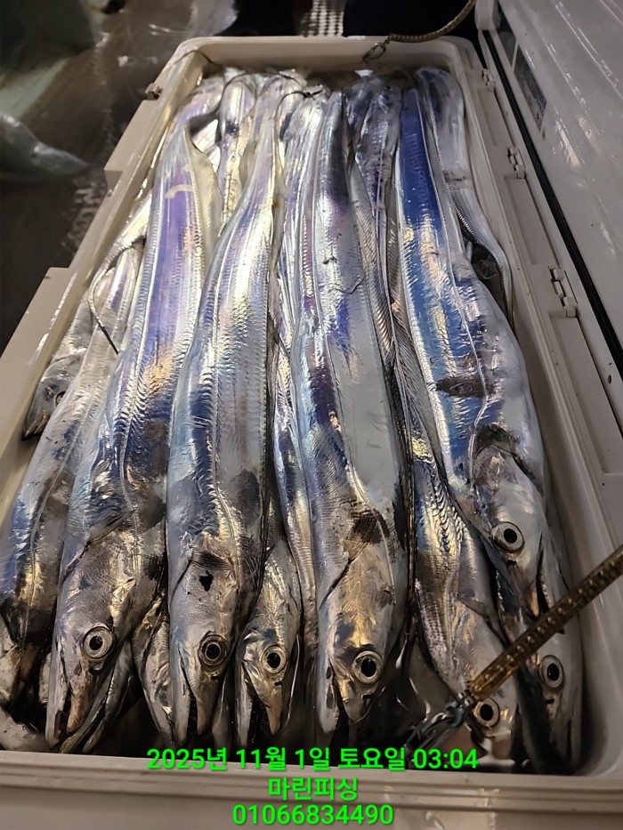 e264b1bee7664a93722fe29646fa96a9_1761956369_2446.jpg e264b1bee7664a93722fe29646fa96a9_1761956369_2446.jpg