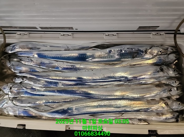 e264b1bee7664a93722fe29646fa96a9_1761956370_7806.jpg e264b1bee7664a93722fe29646fa96a9_1761956370_7806.jpg