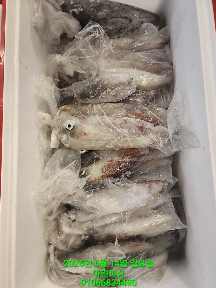 133830762146a1000a6cfc0fba250f79_1781484231_005.jpg