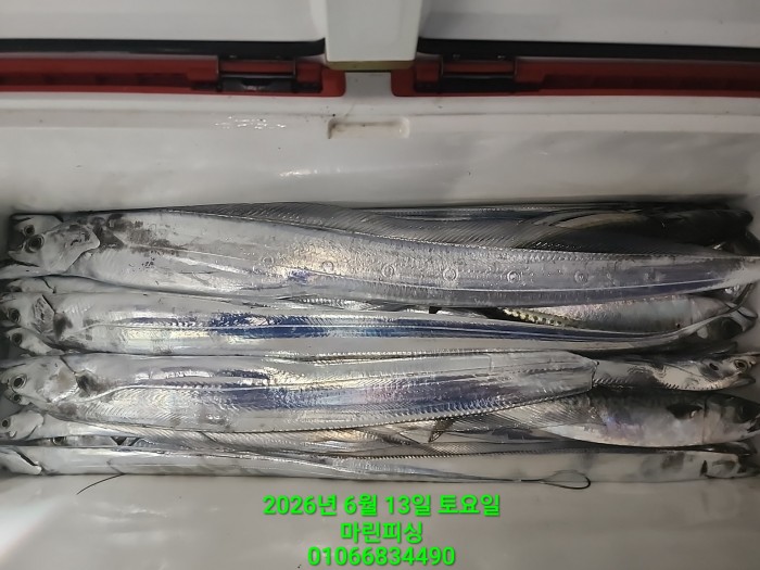 27760dcff4fd52320e8c2c2755b7828a_1781311365_7974.jpg