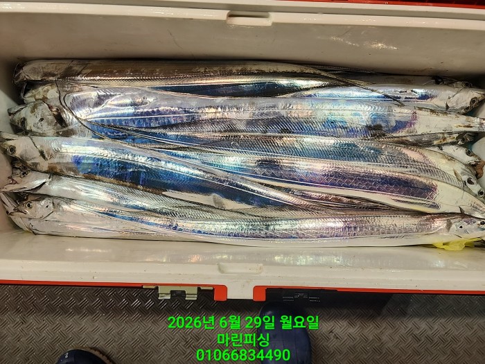 3d96458133c092c824e49a46e3ac61d1_1782698184_4577.jpg