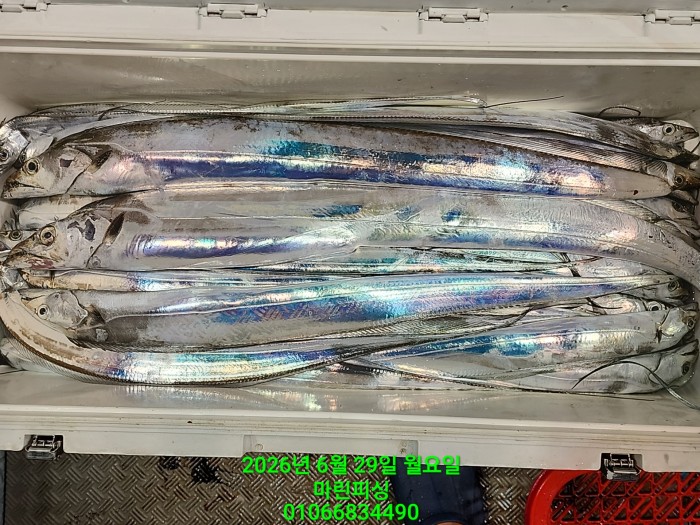 3d96458133c092c824e49a46e3ac61d1_1782698188_6942.jpg