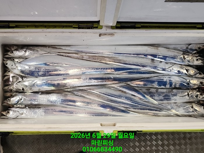 3d96458133c092c824e49a46e3ac61d1_1782698196_2647.jpg