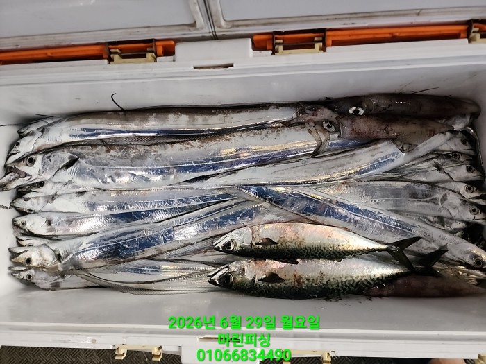 3d96458133c092c824e49a46e3ac61d1_1782698199_307.jpg