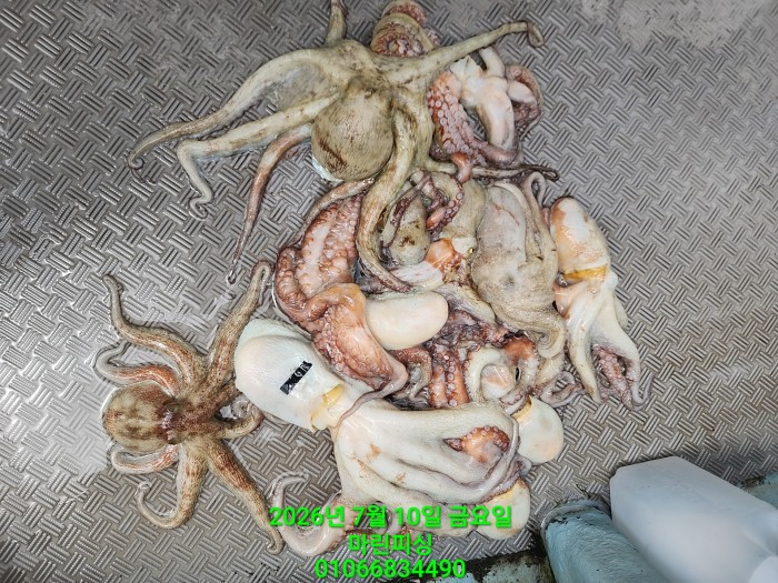 1775ba46fbffeb9fb91051ef4cdb6278_1783671930_9399.jpg