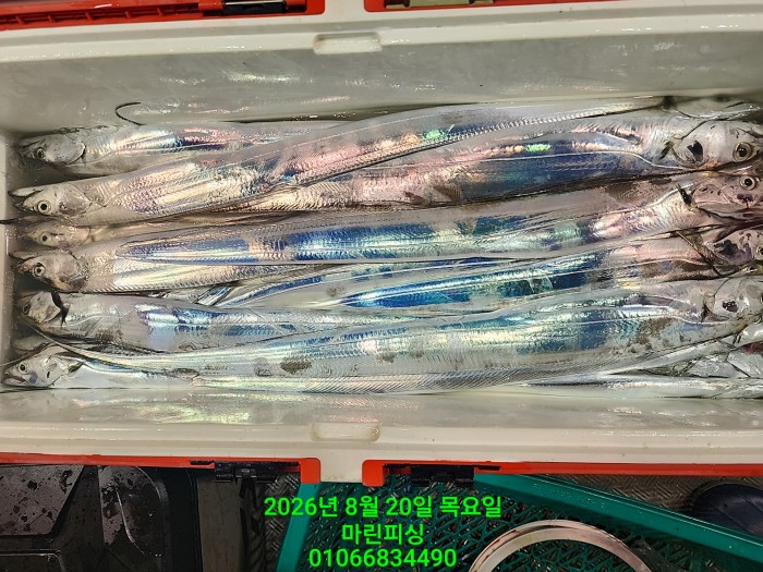 424c83e47e888d12d6b4bd8fd6020593_1787188456_4648.jpg