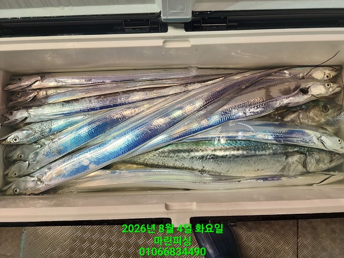 ae05c0166f0f3e2fd3ba9ccef84726b5_1785804352_7706.jpg