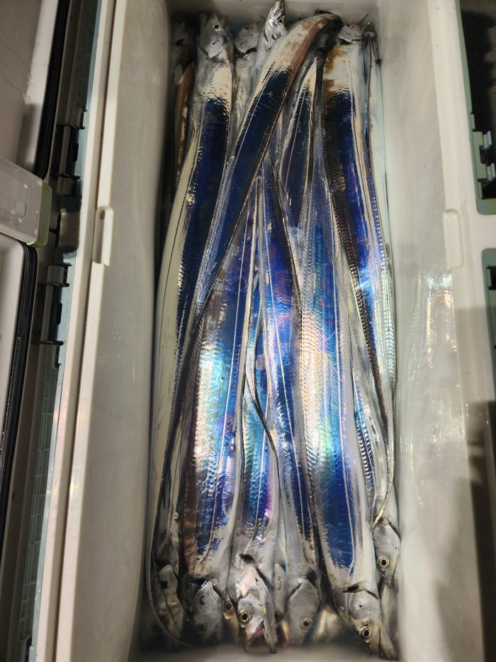 ae05c0166f0f3e2fd3ba9ccef84726b5_1785804356_0797.jpg