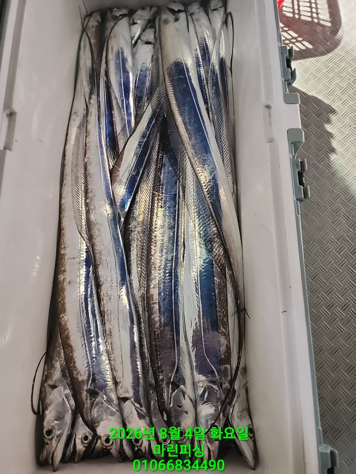 ae05c0166f0f3e2fd3ba9ccef84726b5_1785804369_5189.jpg