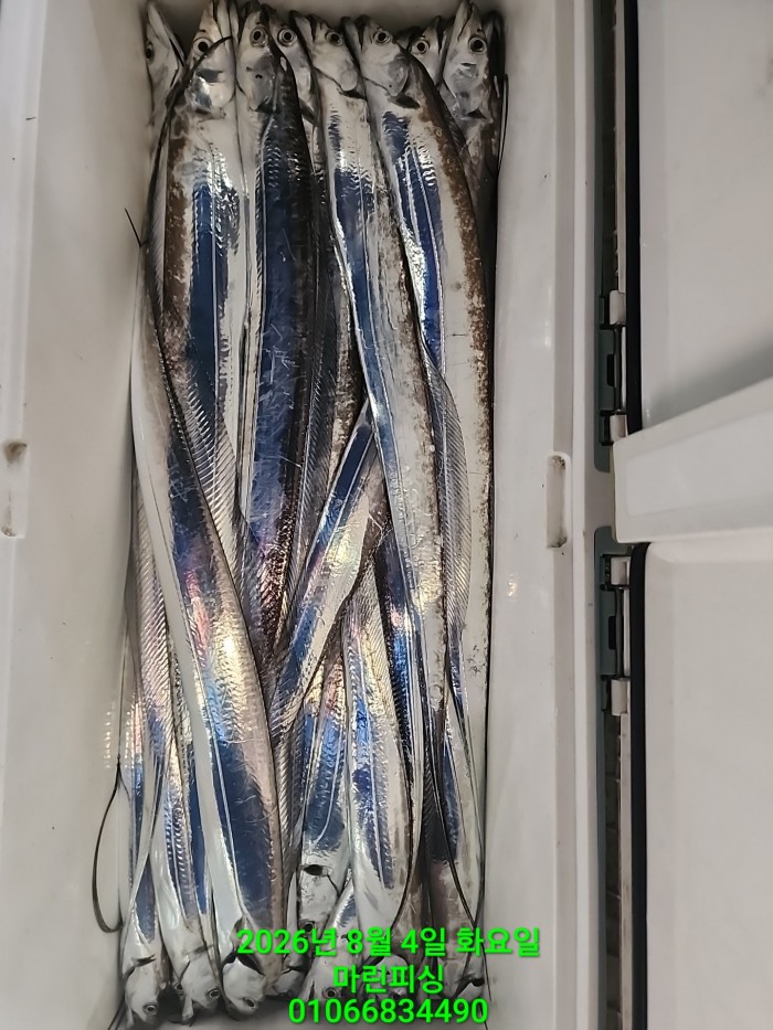 ae05c0166f0f3e2fd3ba9ccef84726b5_1785804370_3488.jpg