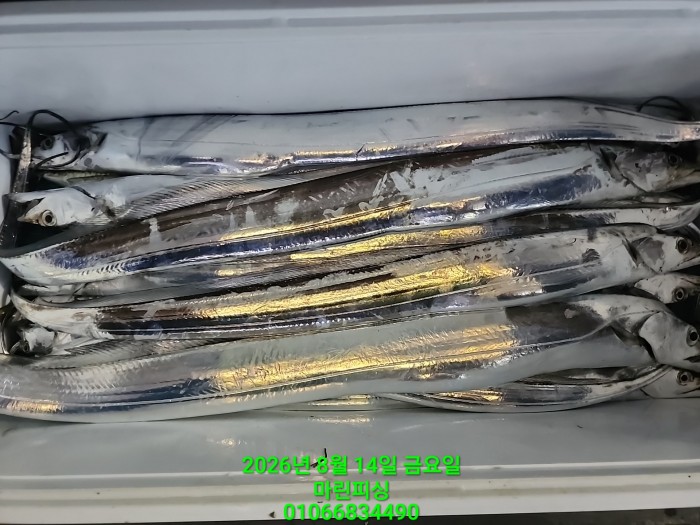 e30e764ca5c70116df3f7ee6ddb1e97b_1786671503_252.jpg