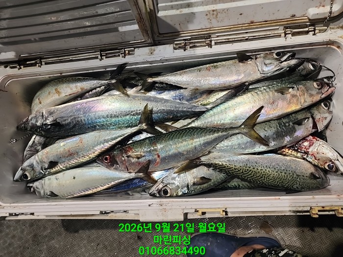 208f0fe45731f9c64b732879aa9f9fa8_1789958269_7968.jpg 208f0fe45731f9c64b732879aa9f9fa8_1789958269_7968.jpg