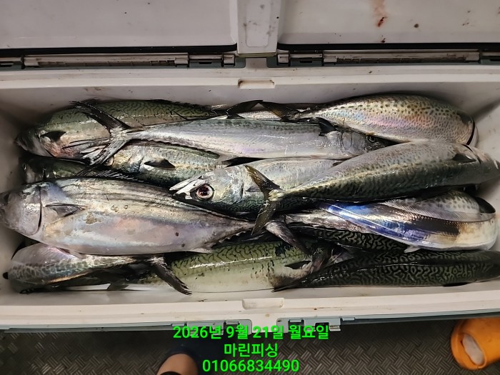 208f0fe45731f9c64b732879aa9f9fa8_1789958270_581.jpg 208f0fe45731f9c64b732879aa9f9fa8_1789958270_581.jpg