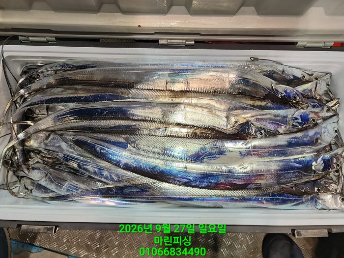 e0ff06958b5994af12e741eeb5c44c34_1790477944_9524.jpg