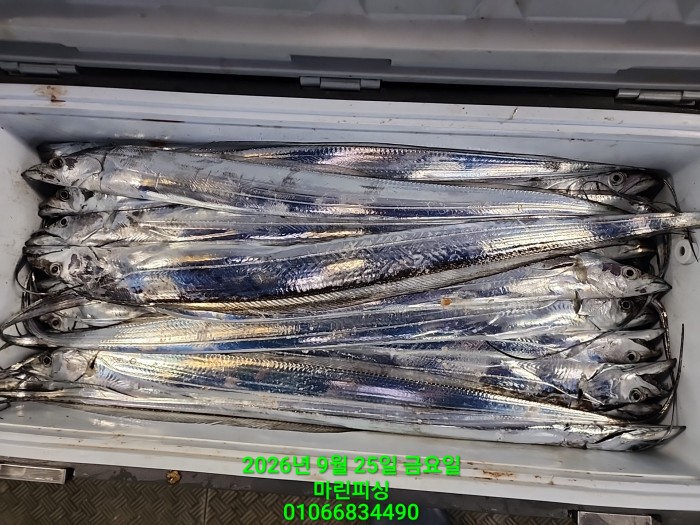 e18f1cab68631a109ff4326462f69b26_1790304680_4318.jpg e18f1cab68631a109ff4326462f69b26_1790304680_4318.jpg