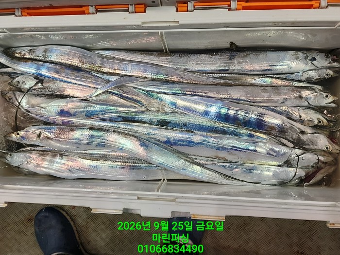 e18f1cab68631a109ff4326462f69b26_1790304683_796.jpg e18f1cab68631a109ff4326462f69b26_1790304683_796.jpg