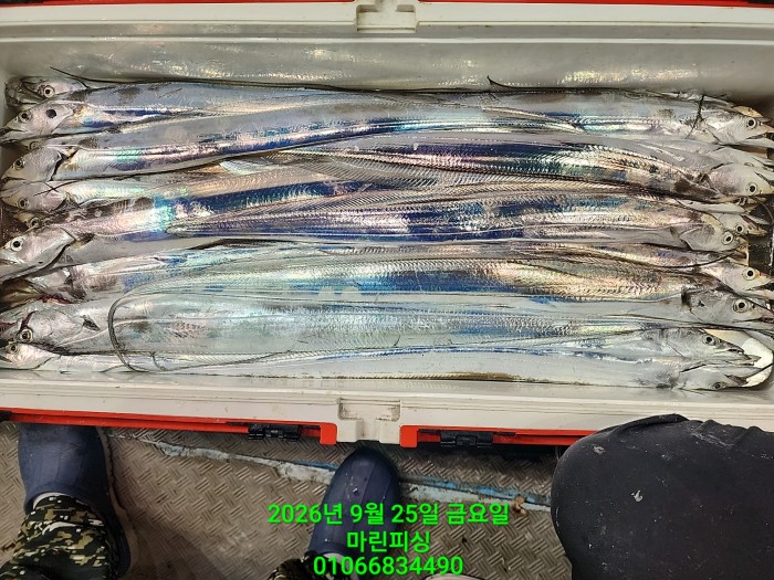 e18f1cab68631a109ff4326462f69b26_1790304686_2472.jpg e18f1cab68631a109ff4326462f69b26_1790304686_2472.jpg
