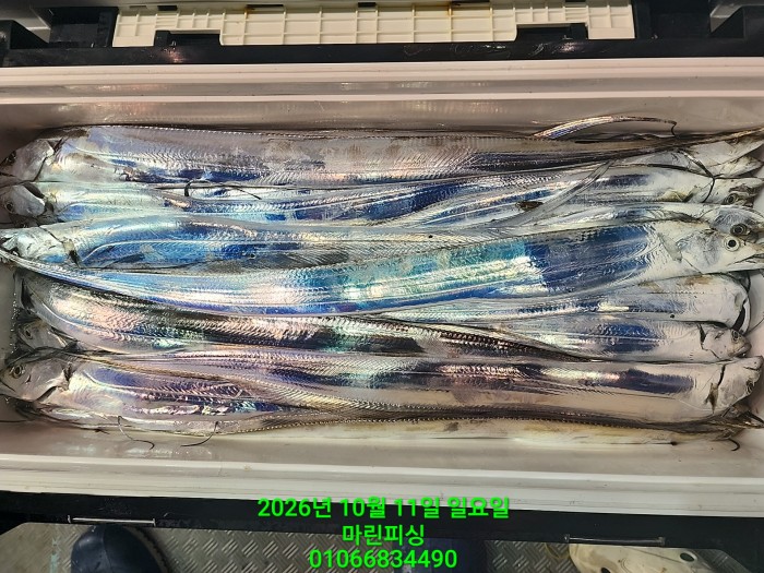 6b985c572f0ebdb050238851cde1e729_1791688250_7817.jpg