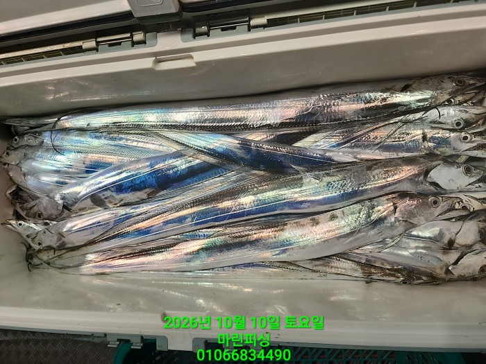 97f9621b06f51a9b9cad9d0c0a51c0e5_1791598758_1505.jpg 97f9621b06f51a9b9cad9d0c0a51c0e5_1791598758_1505.jpg