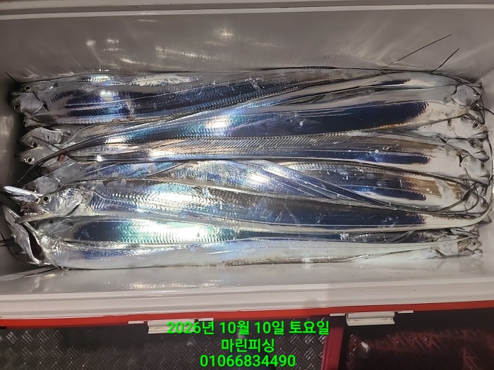 97f9621b06f51a9b9cad9d0c0a51c0e5_1791598759_0567.jpg 97f9621b06f51a9b9cad9d0c0a51c0e5_1791598759_0567.jpg
