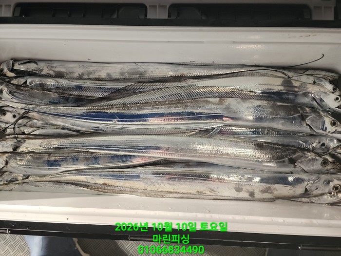 97f9621b06f51a9b9cad9d0c0a51c0e5_1791598759_927.jpg 97f9621b06f51a9b9cad9d0c0a51c0e5_1791598759_927.jpg