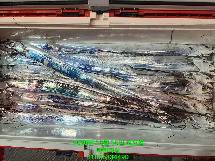 97f9621b06f51a9b9cad9d0c0a51c0e5_1791598761_0206.jpg 97f9621b06f51a9b9cad9d0c0a51c0e5_1791598761_0206.jpg
