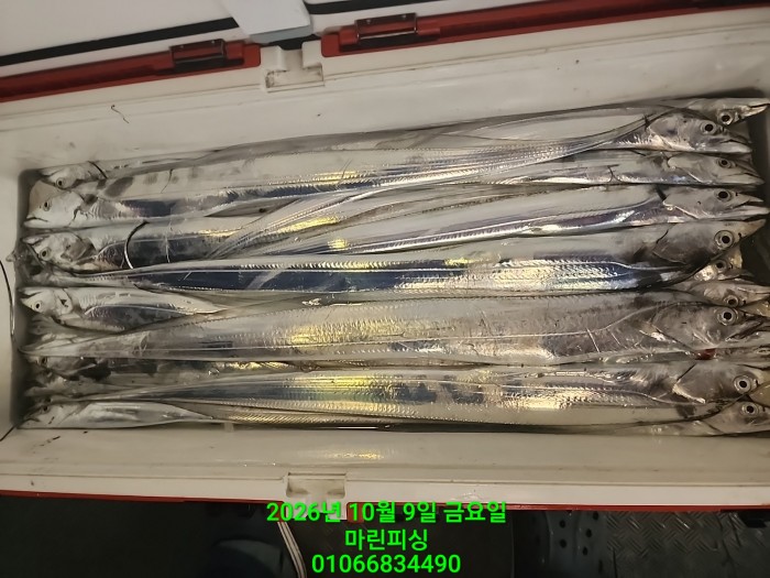 cdfd9f2091932561264ffcdc97adb752_1791511484_7355.jpg
