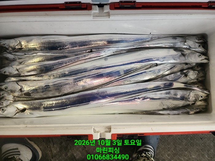 ef257bafcf2aafe8592783ffffd05c6e_1790991143_0369.jpg